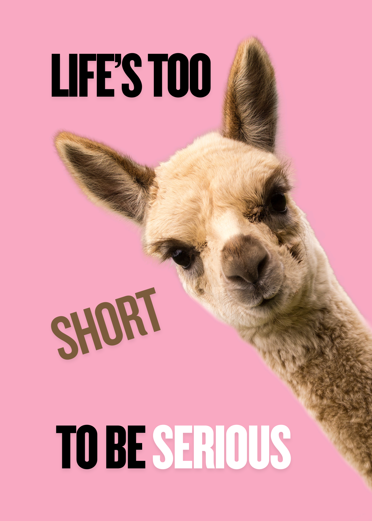 Life's Too Short To Be Serious