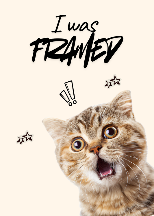 I Was Framed – Funny Cat Greeting Card for Any Occasion