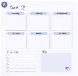 Brown Girl Chaos Planner