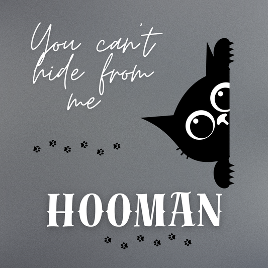 🐾 You Can’t Hide from Me, Hooman – Canvas Print