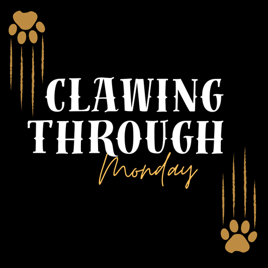 🐾 Clawing Through Monday – Motivational Canvas Art