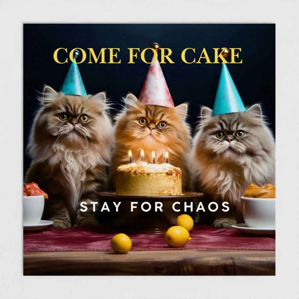 Chaos & Cake Cat Birthday Party Invitations – Pack of 10