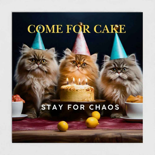 Chaos & Cake Cat Birthday Party Invitations – Pack of 10