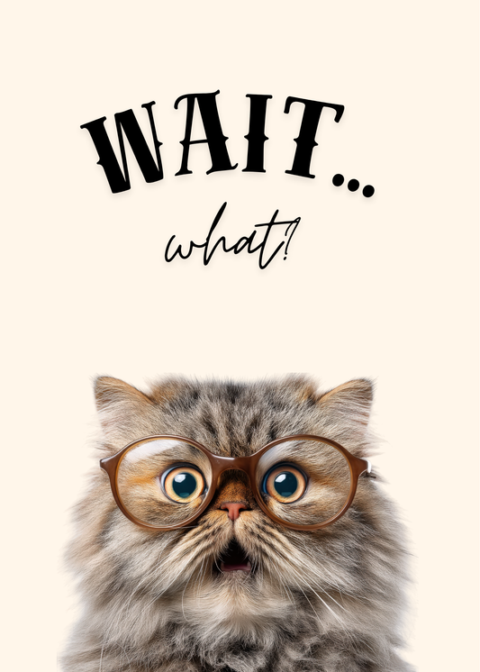 Wait… What?! Funny Cat Greeting Card
